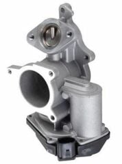 EGR VALFI A4 A6 2.0TDI BLB-BNA-BRE-BRD-BRF-BVF-BVA-BVG 05 08