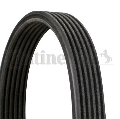 KANALLI KAYIŞ AUDI FORD SEAT VW BORA GOLF TRANSPORTER 2.3 2.8 3.2 20V 24V