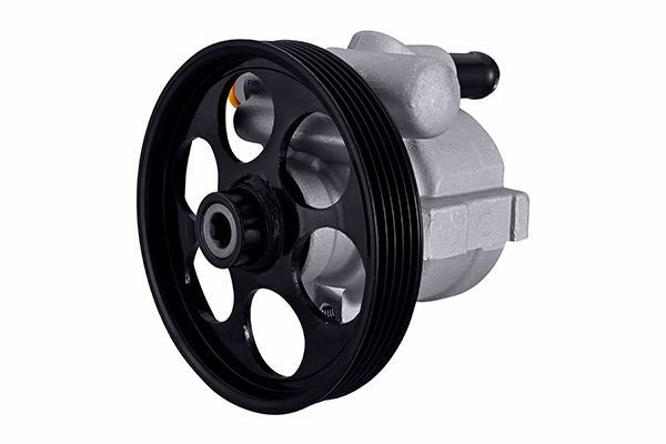 DİREKSİYON POMPASI HİDR 6 KANAL KASNAK CLIO 1.4-1.6 91 KNG 1.2-1.4 98 KNG 1.5DCI 03 MGN I 1.4 4414166