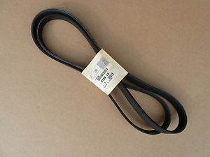 KANALLI KAYIŞ P307-406-EXPERT-JUMPY 2.0 HDI