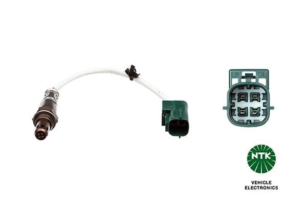 OZA610-N1 OKSİJEN SENSÖRÜ