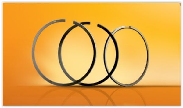 SEGMAN FREELANDER I 2.5 V6 80mm 2001-