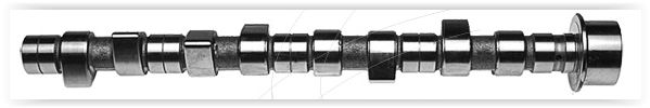 EKSANTRİK MİLİ DUCATO-BOXER 2.5 TD 01255