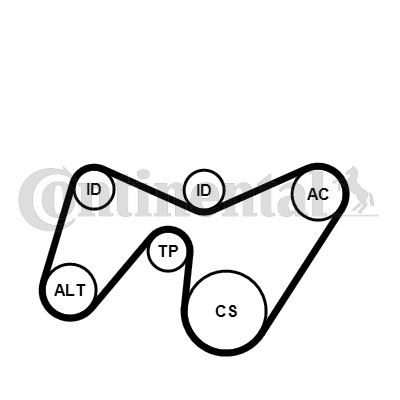 Multi V-Belt Kit Water Pump