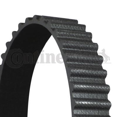 Timing Belt