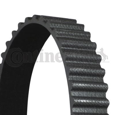 Timing Belt