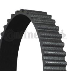 Timing Belt