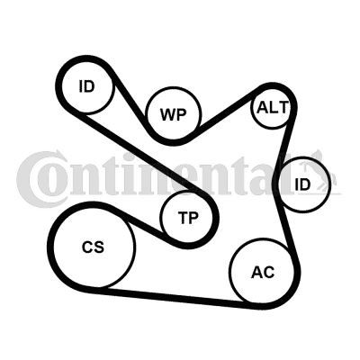 Multi V-Belt Kit Water Pump