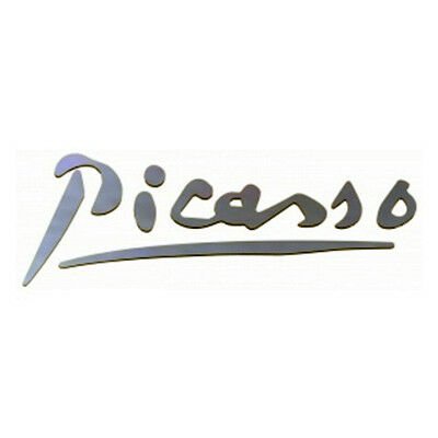 YAZI PICASSO C4 PC