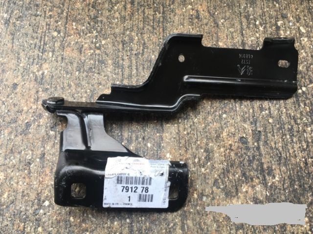 MOTOR KAPUT MENTEŞESİ ÖN SOL C4 I