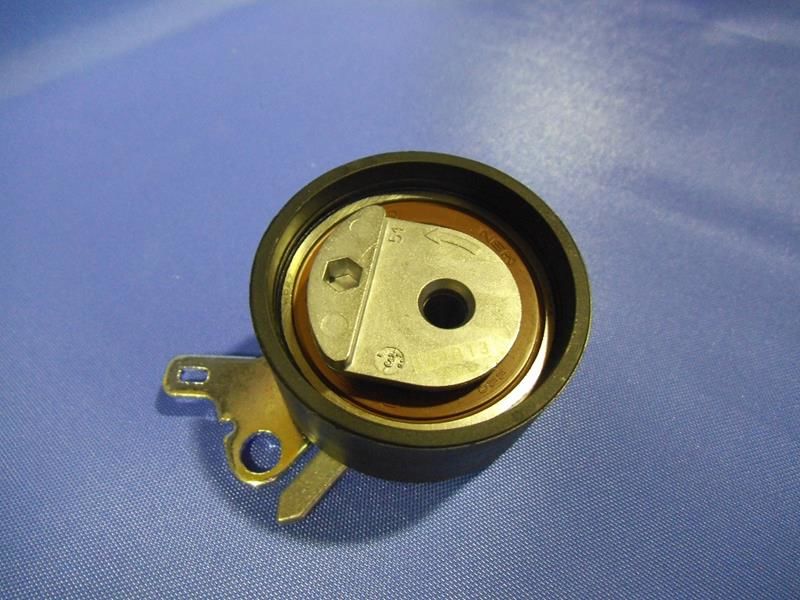 EKSANTRİK GERGİ RULMANI P206-307-406-407-607-806-807-EXPERT-C4-C5-C8-XSARA-SCUDO 1.8 16V-2.0 16V-2.2