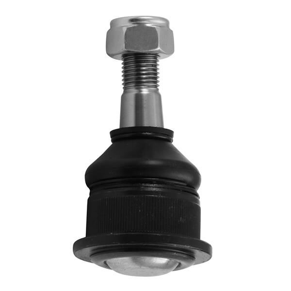 ROTİL M131 DKŞ FI096