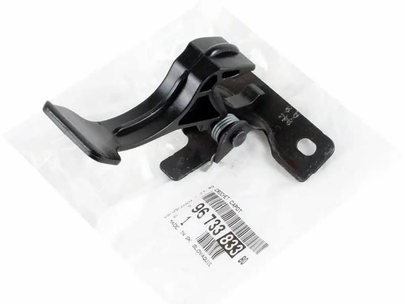 KAPUT AÇMA KOLU MANDALI PEUGEOT P208